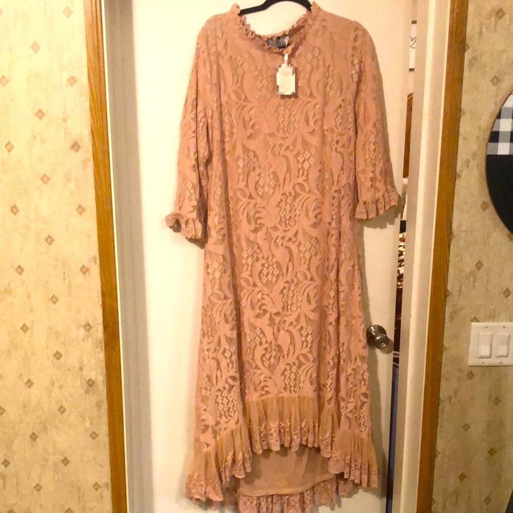Dainty Jewells blush dress 2X NWT